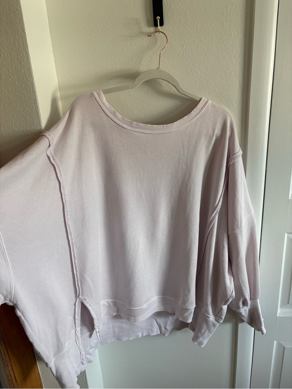 We The Free Pale Pink Crewneck Sweatshirt